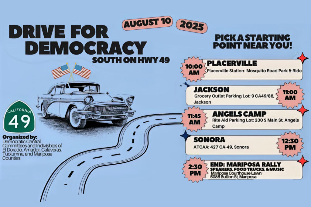 Drive-for-Democracy