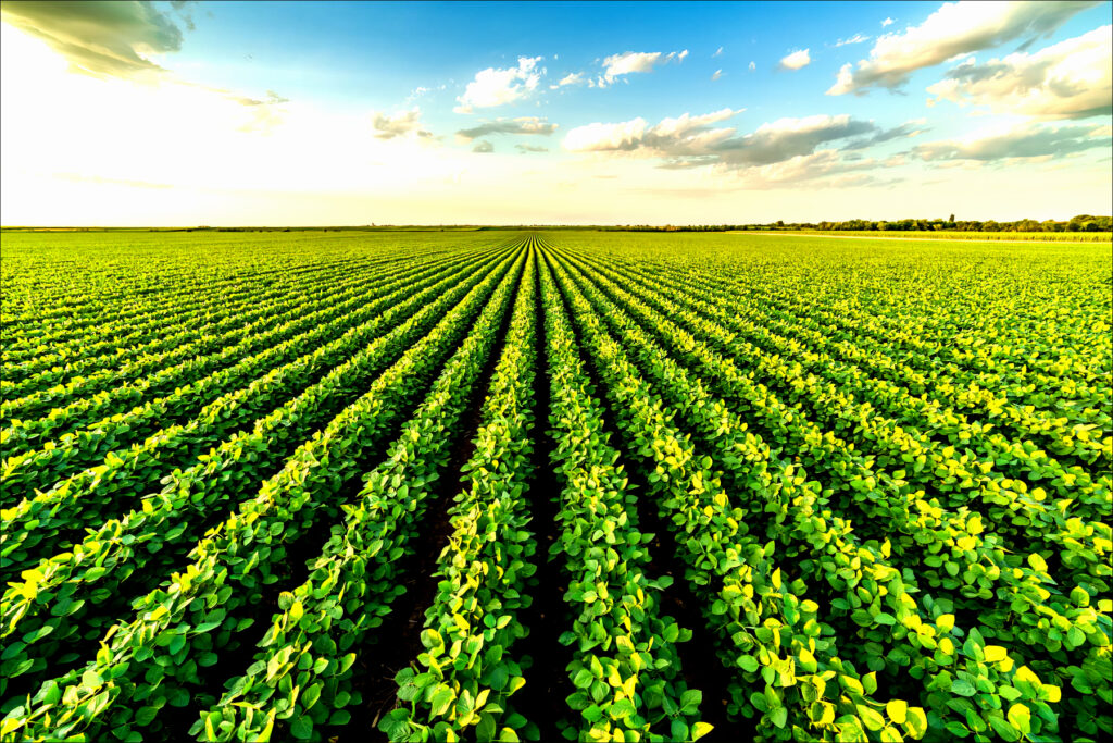 Soybean-Field-1536x1024-1
